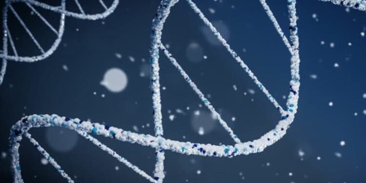 Científicos argentinos buscan detectar el maltrato infantil a través de señales químicas en el ADN