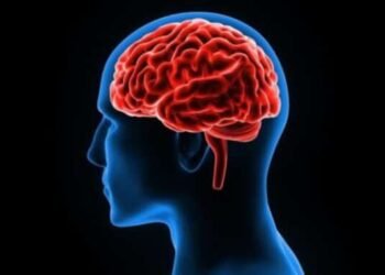 Los hábitos recomendados para cuidar la salud cerebral desde la juventud 