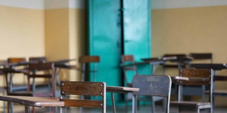SNI OPSU 2025: ¿cuándo anunciarán los resultados?