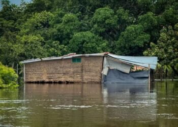 Colapsó un puente en Apure tras fuertes lluvias