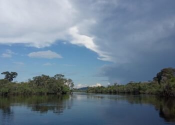 El nivel del río Orinoco sigue en aumento y genera alerta en varias entidades de país 