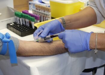 La OMS publicó la primera guía de protocolo para abordar el dengue, el zika, el chikungunya y la fiebre amarilla