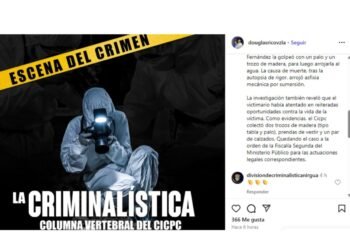Detuvieron a un hombre por su presunta responsabilidad en el femicidio de su esposa en Guárico
