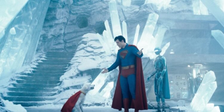El impacto que ha tenido Superman en la adopción de perros en Estados Unidos 