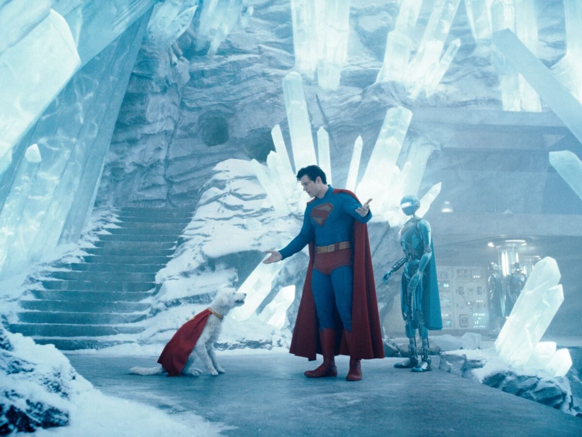 El impacto que ha tenido Superman en la adopción de perros en Estados Unidos