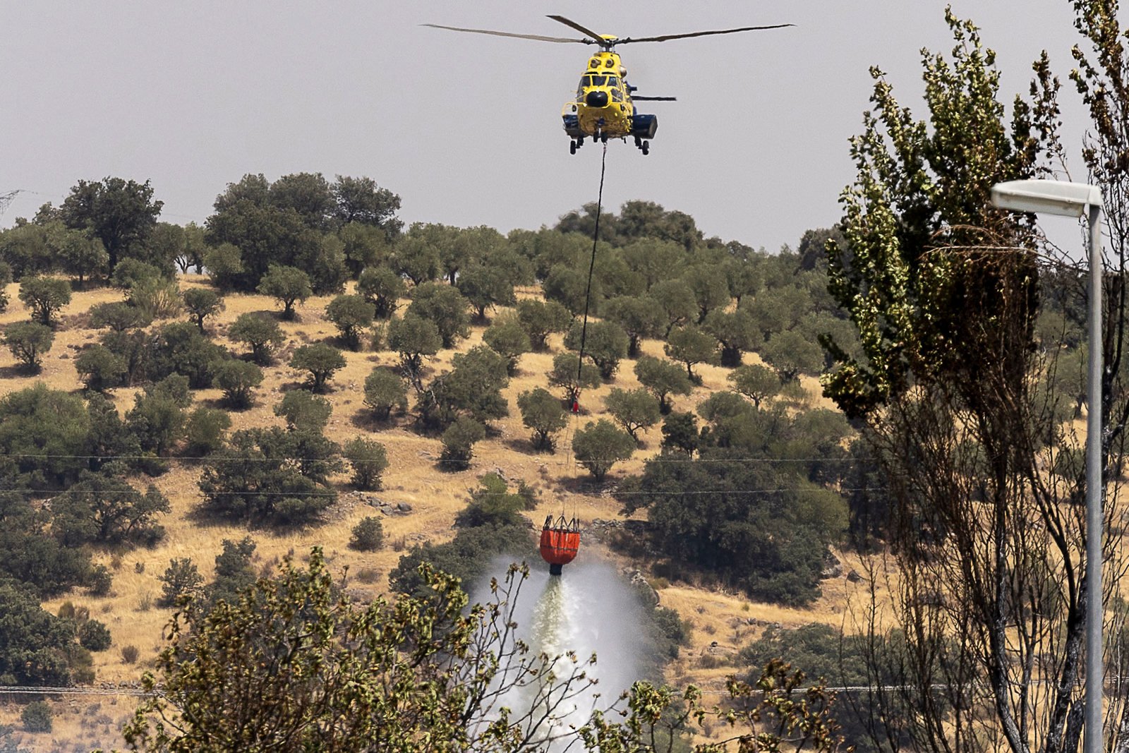 Europa enfrenta incendios en medio de altas temperaturas y fuertes vientos