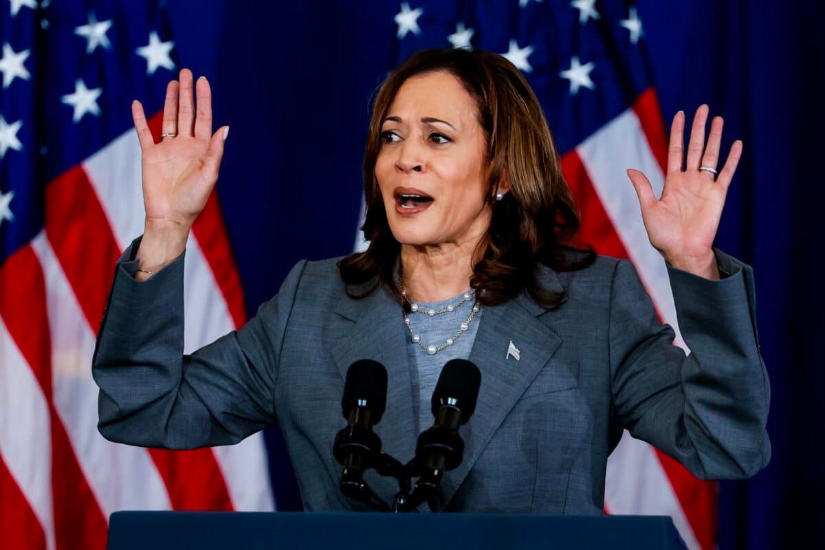 ¿Cómo se realiza el proceso para elegir al sucesor de Biden?