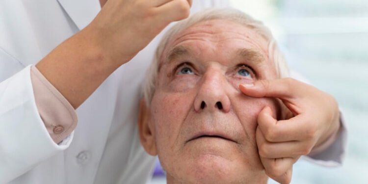 Comprobaron los beneficios del aceite de acebuchina para la salud ocular