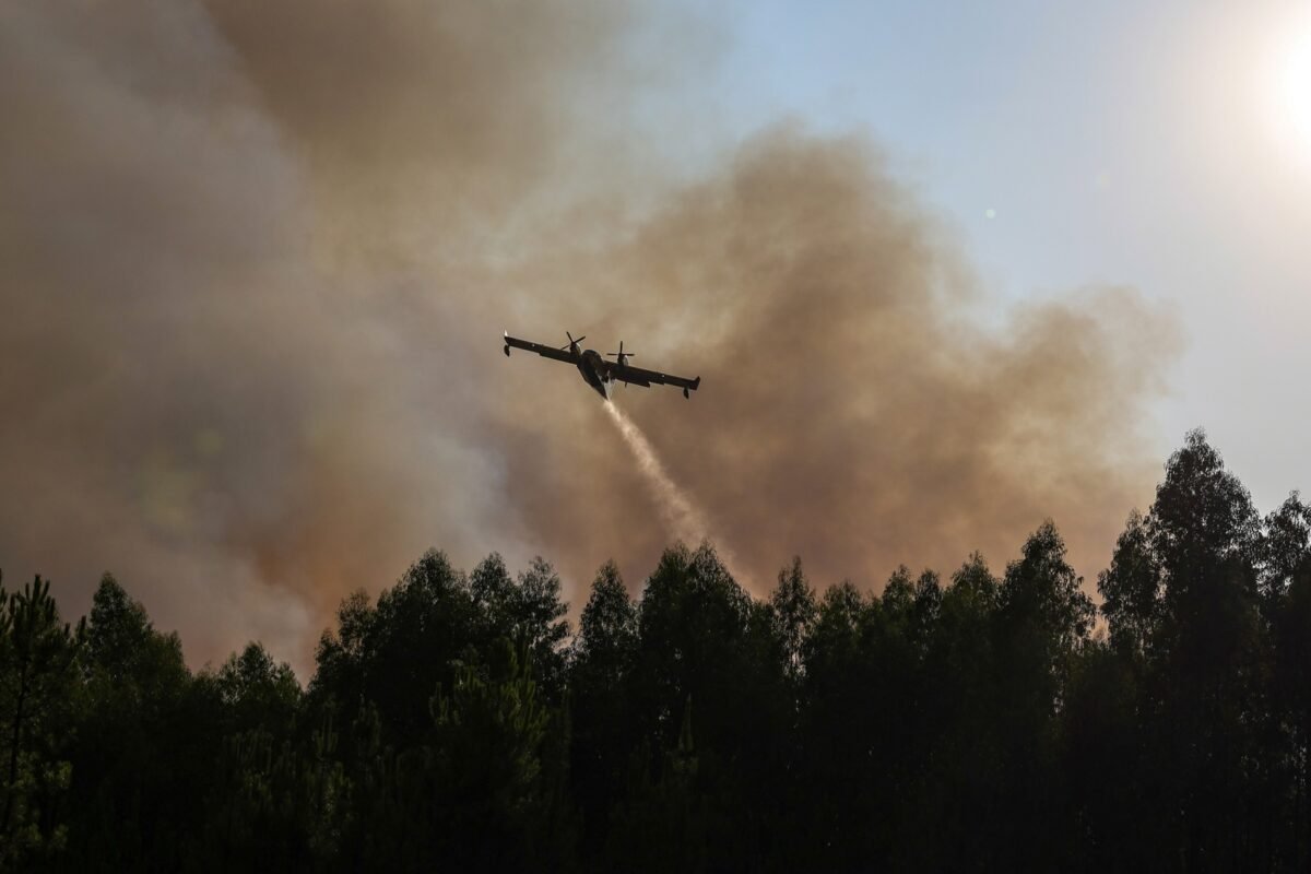 #TeExplicamosElDía | Sábado 23 de agosto