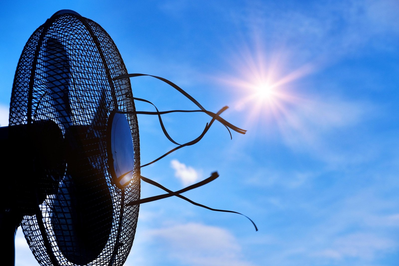Condiciones climáticas extremas y calor mortal: algunos de los pronósticos mundiales para los próximos 5 años