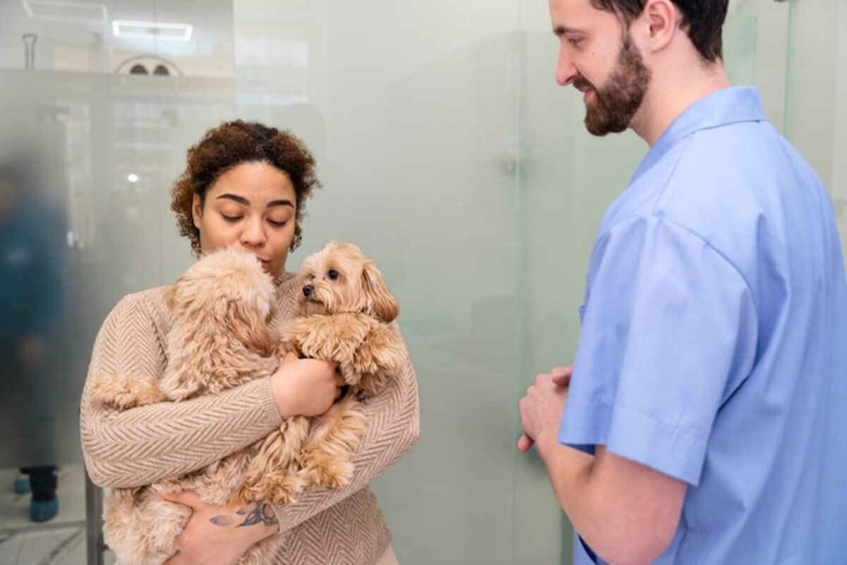 Perroterapia: beneficios de la terapia asistida para personas con problemas de salud