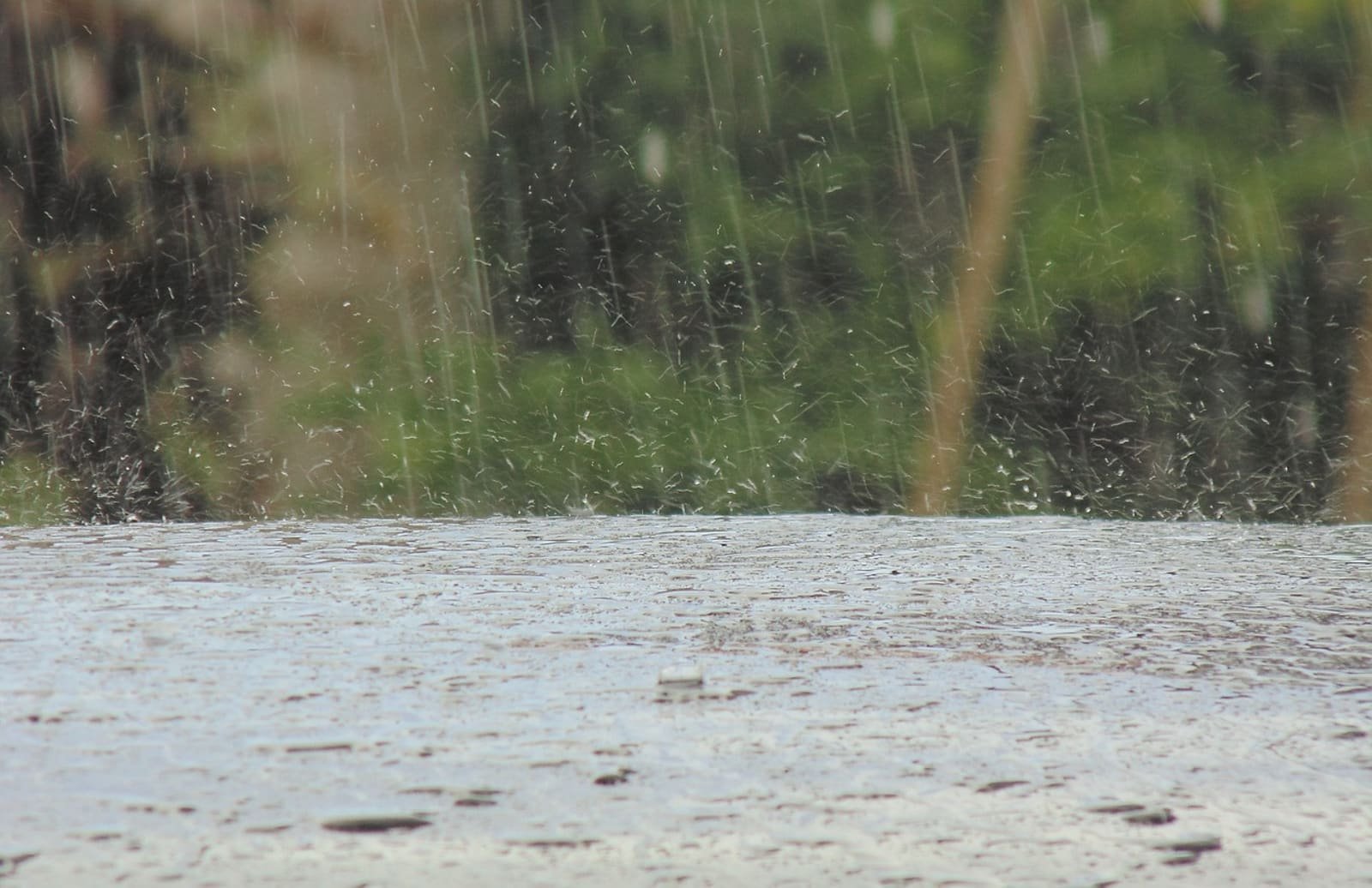 Prevén lluvias en gran parte del territorio venezolano por la cuarta onda tropical de la temporada