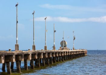 Flujo de viajeros y comercio en declive entre Trinidad y Tobago y Venezuela