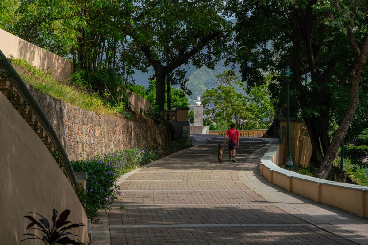 Los oasis de Caracas: espacios verdes que dan respiro a la ciudad