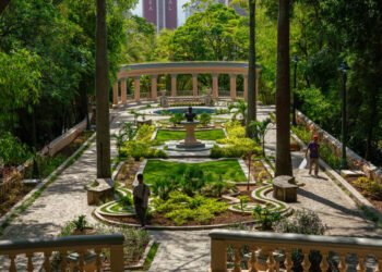 Los oasis de Caracas: espacios verdes que dan un respiro a la ciudad