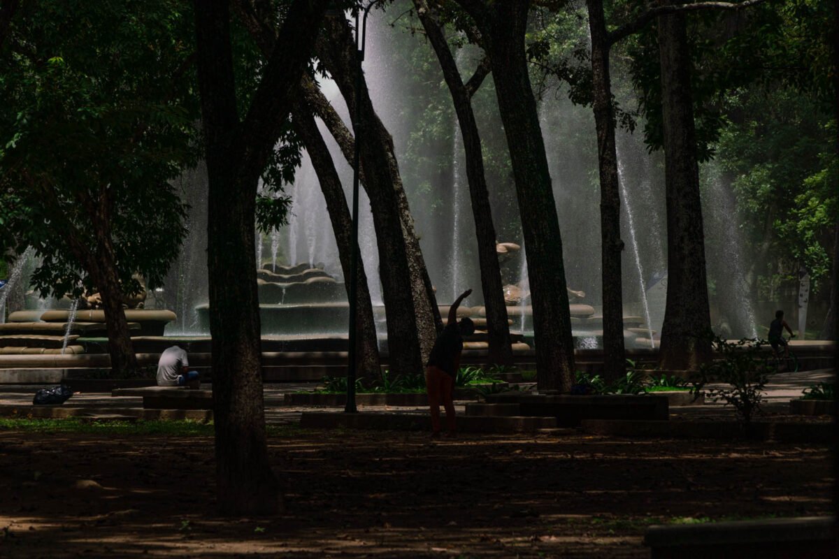Los oasis de Caracas: espacios verdes que dan respiro a la ciudad