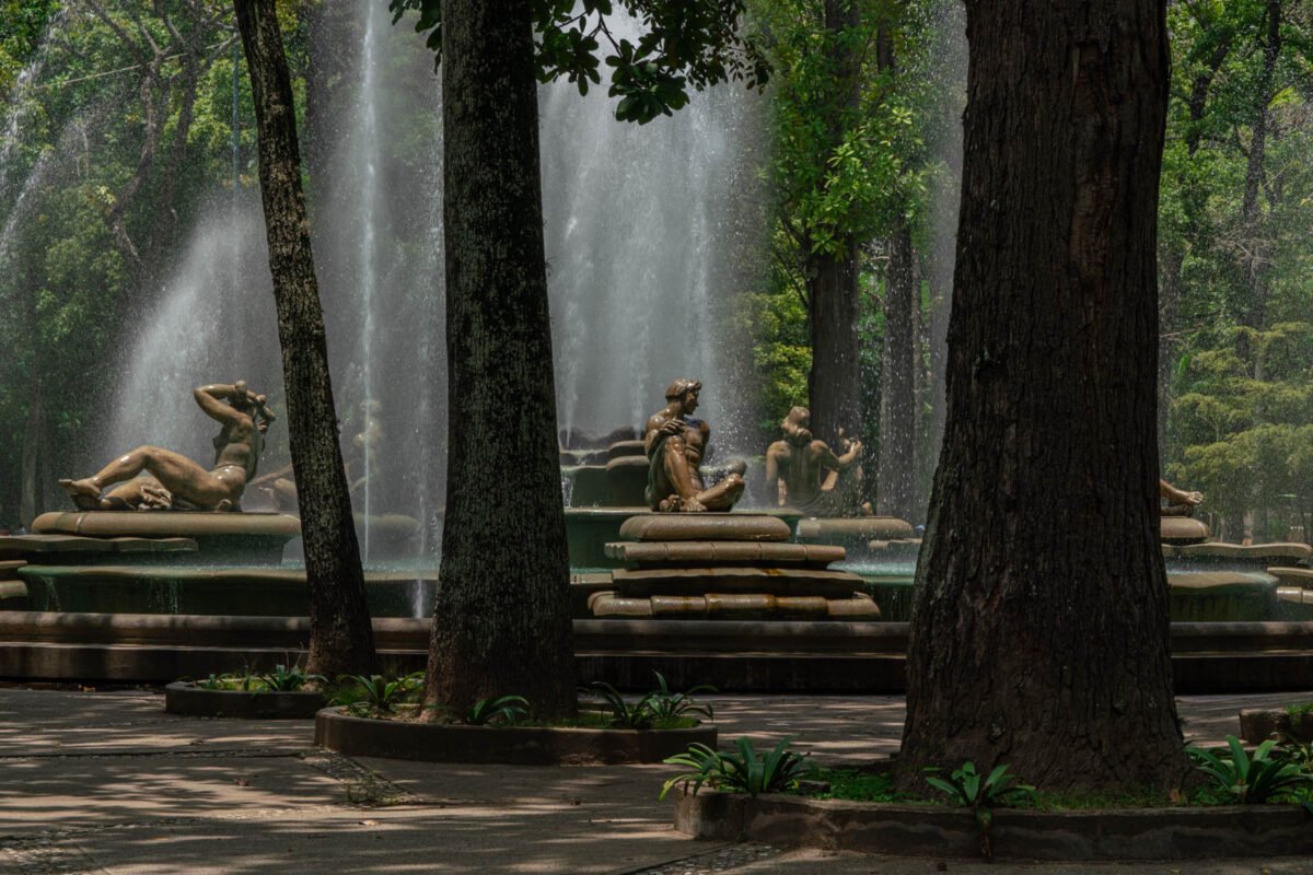 Los oasis de Caracas: espacios verdes que dan respiro a la ciudad