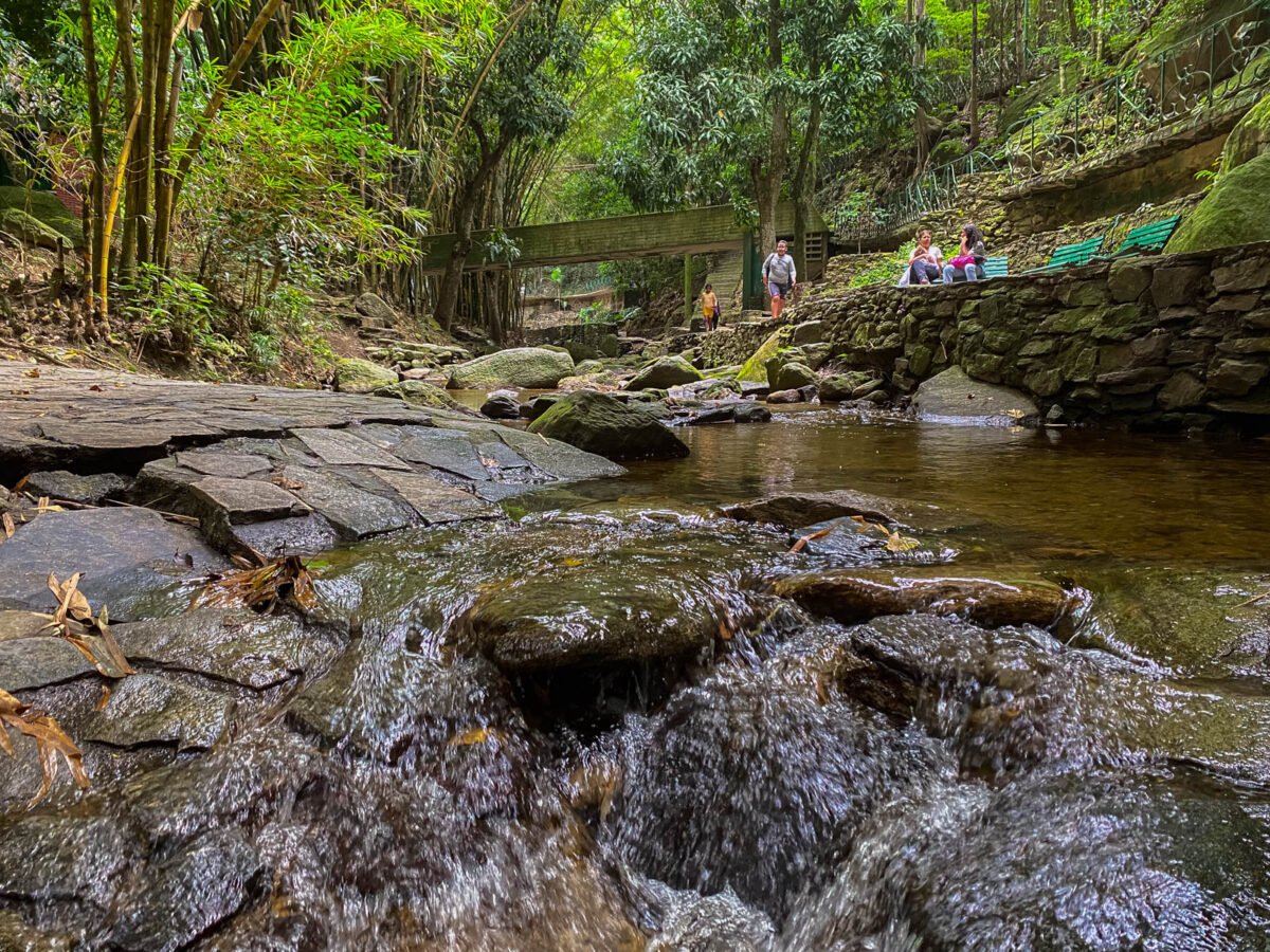 Los oasis de Caracas: espacios verdes que dan respiro a la ciudad