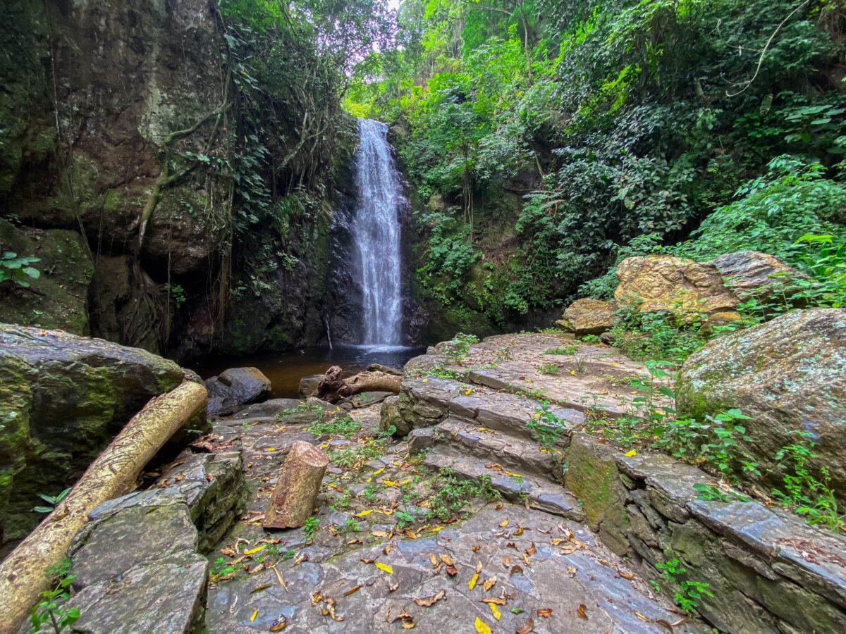 Los oasis de Caracas: espacios verdes que dan respiro a la ciudad