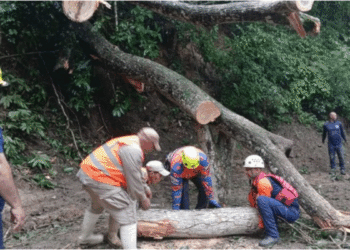 Al menos 93 familias en Guacara resultaron afectadas por las lluvias