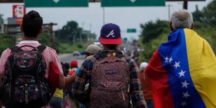 Observatorio de la Diáspora Venezolana: más del 55 % de los venezolanos no cuenta con pasaportes vigentes