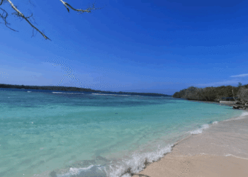 Autoridades rescataron a un hombre que se extravió en Morrocoy