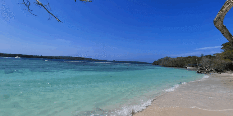 Autoridades rescataron a un hombre que se extravió en Morrocoy