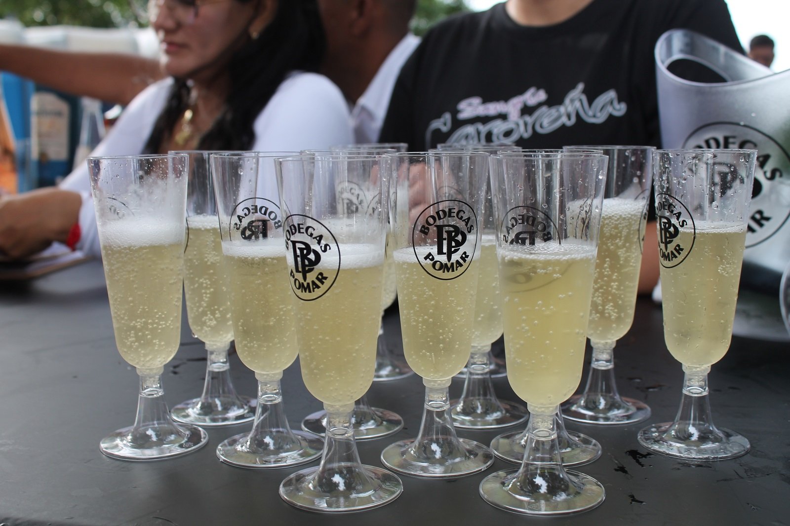 Música y brindis: la experiencia que dibujó Frank Quintero con un concierto íntimo en los viñedos de Pomar