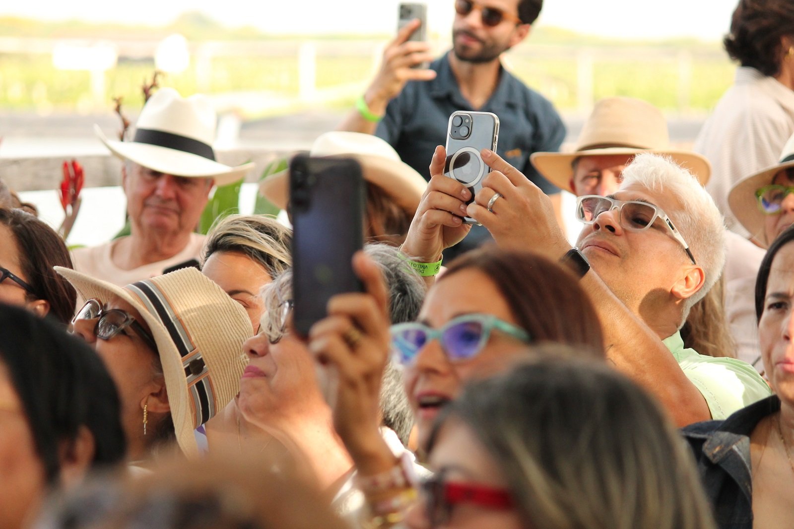Música y brindis: la experiencia que dibujó Frank Quintero con un concierto íntimo en los viñedos de Pomar