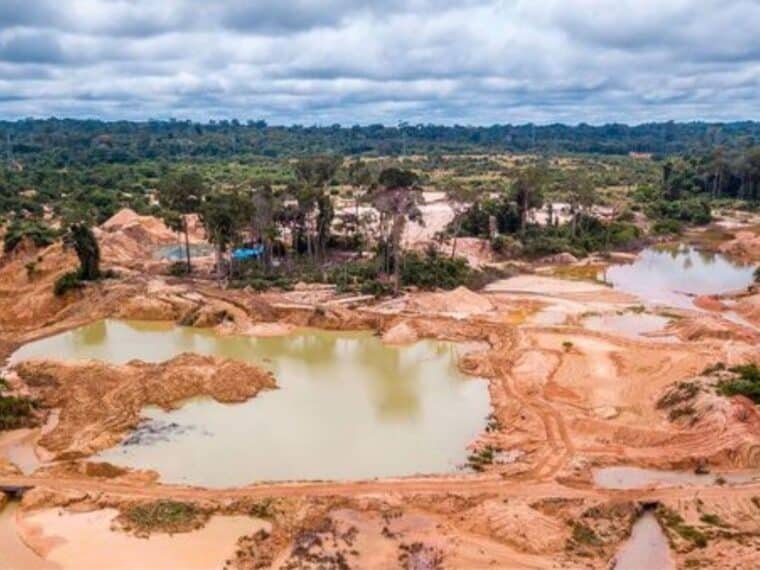 Denunciaron la presencia de mineros ilegales de Brasil en el río Orinoco