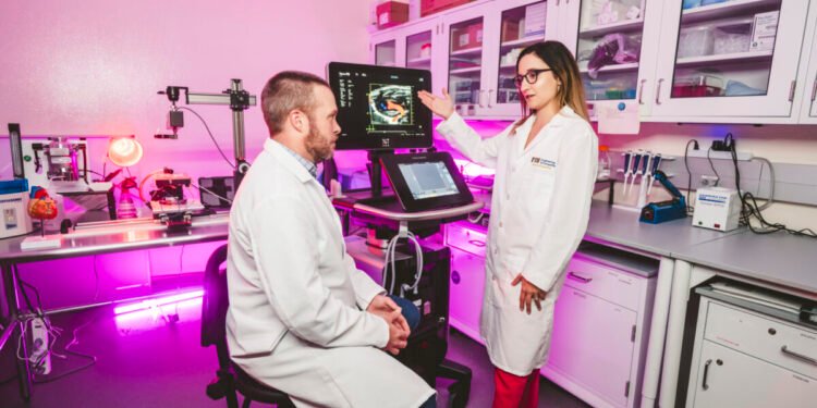 Científicos crearon una IA que busca prevenir infartos oyendo los latidos