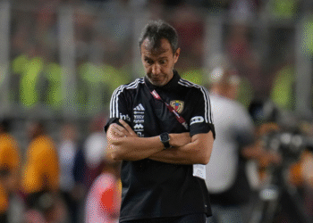 FVF anunció que Fernando “Bocha” Batista dejó de ser el director técnico de la selección nacional