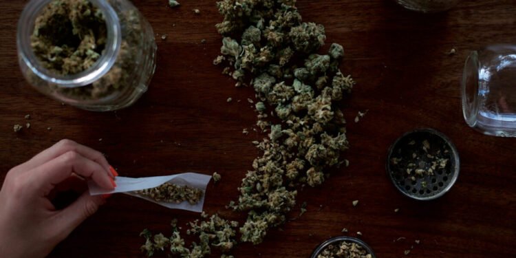 Estudio indicó que el consumo de marihuana podría afectar la fertilidad de las mujeres