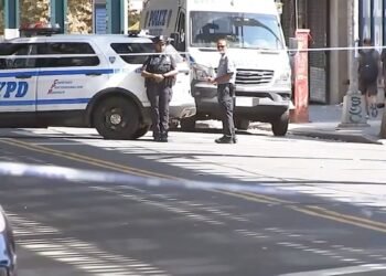 Una adolescente venezolana murió atropellada en Nueva York por un hombre que la habría acosado sexualmente