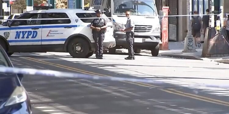 Una adolescente venezolana murió atropellada en Nueva York por un hombre que la habría acosado sexualmente