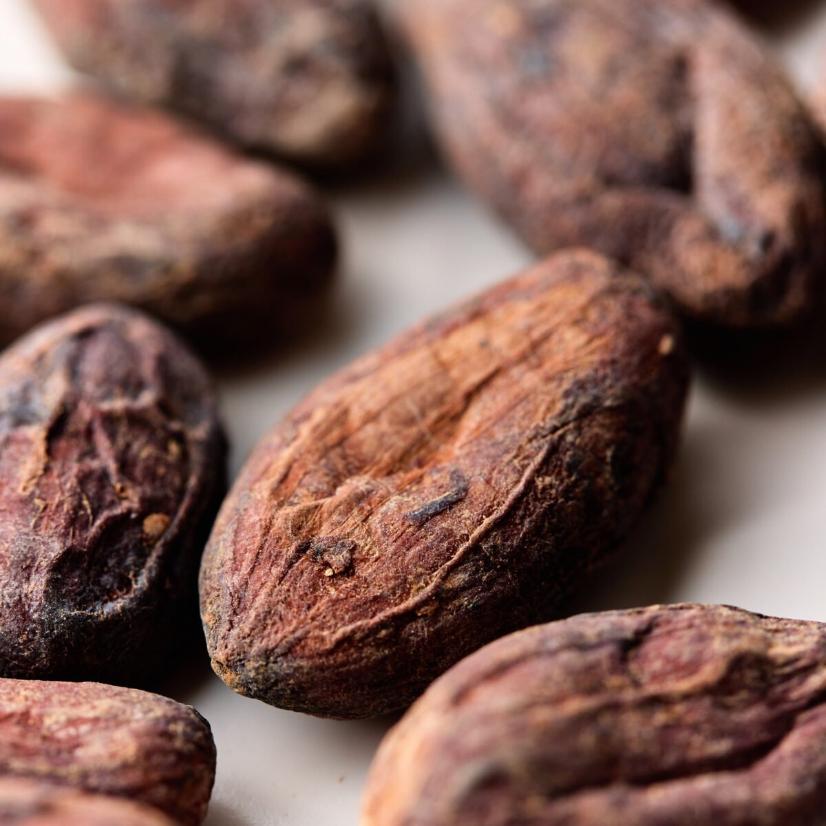 Premiaron cuatro chocolates hechos con cacao de Choroní en la final europea de los Chocolate Awards 2025