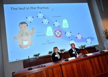 Brunkow, Ramsdell y Sakaguchi ganaron el Nobel de Medicina por la tolerancia inmunológica periférica