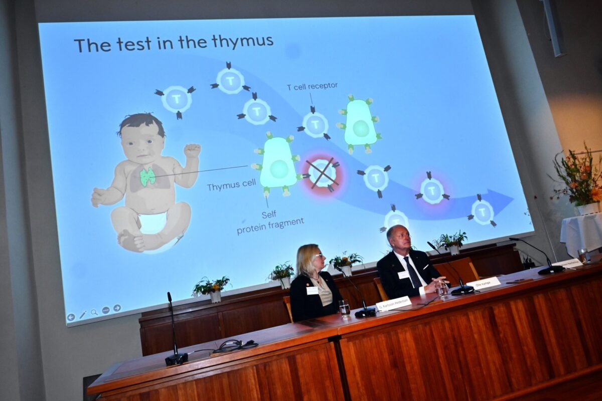 Brunkow, Ramsdell y Sakaguchi ganan el Nobel de Medicina por la tolerancia inmunológica periférica