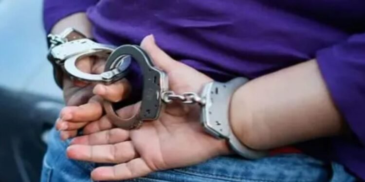Detuvieron a una mujer en Caracas por agredir a su suegra de 73 años
