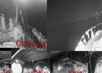 Israel pone fin a la flotilla con ayuda a Gaza al interceptar los barcos de la misión en aguas internacionales