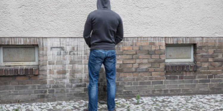 ¿Cuál es la multa por orinar en espacios públicos de Caracas?