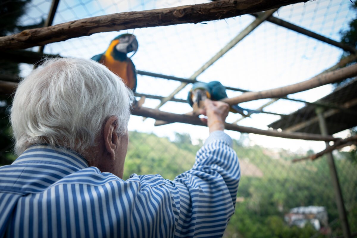 El legado de Vittorio Poggio: el italiano de cuna que se forjó en Venezuela como amante y protector de las guacamayas