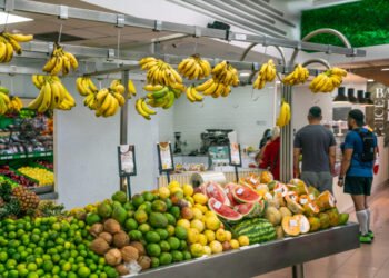 Anunciaron aumento del bono “Único Familiar”: cómo quedó el monto y a quién está dirigido