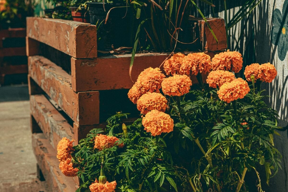 Día de los Muertos: ¿cómo surgió y en qué países se conmemora?