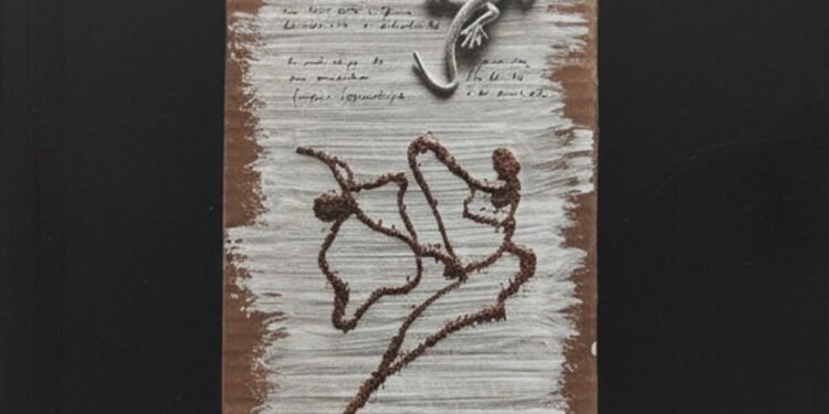 La venezolana Verónica Jaffé ganó el Premio Casa de América de Poesía Americana