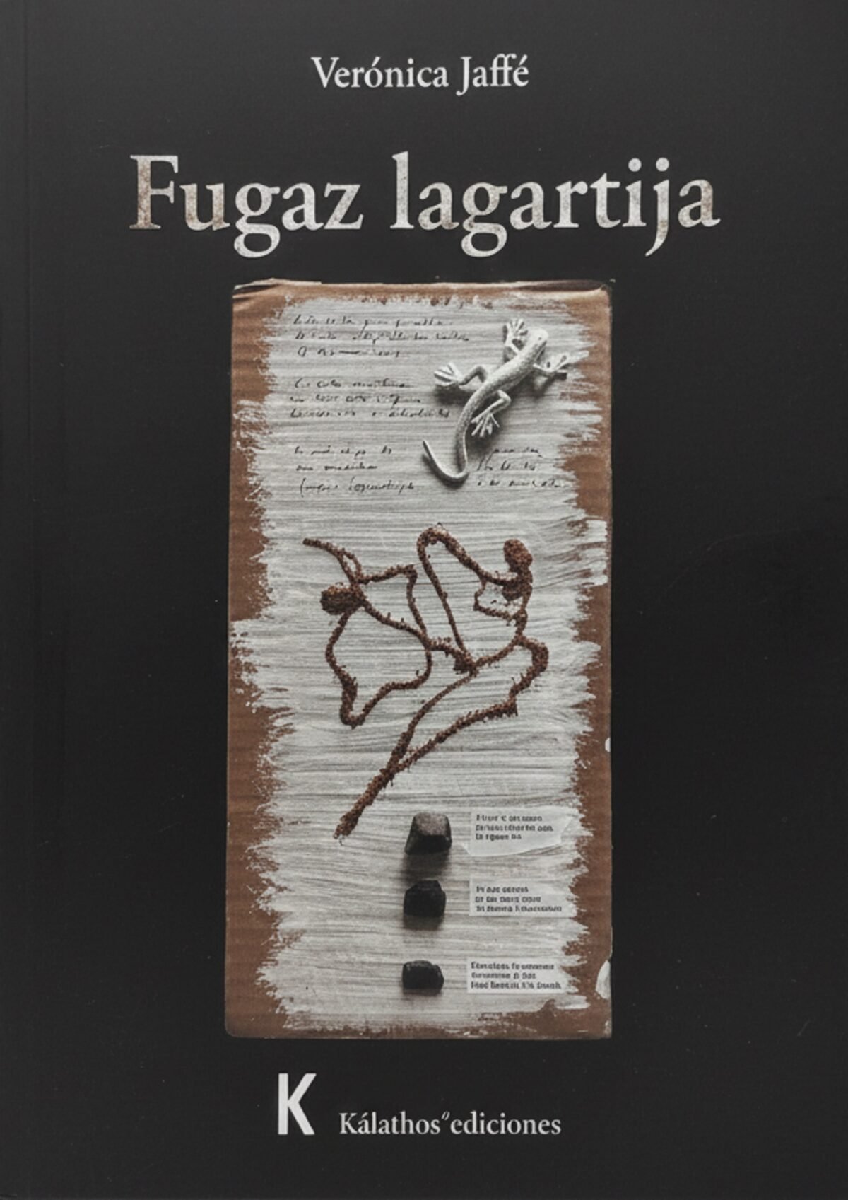 La venezolana Verónica Jaffé ganó el Premio Casa de América de Poesía Americana