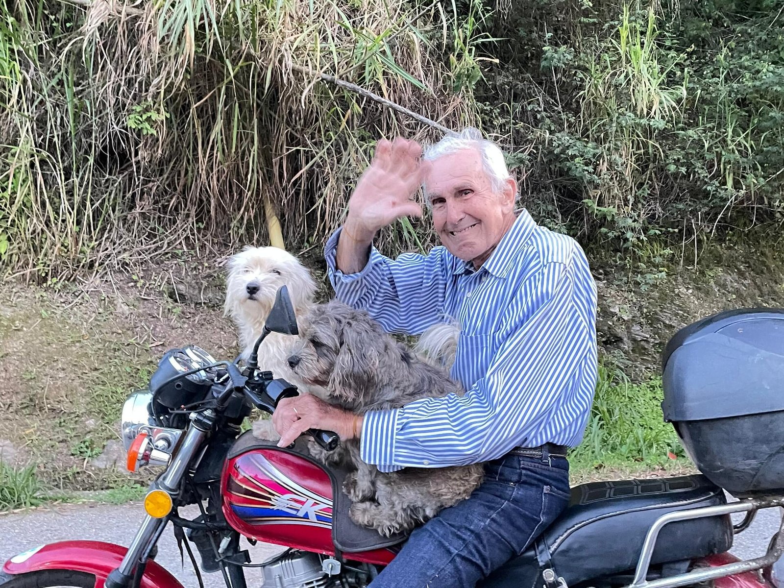 El legado de Vittorio Poggio: el italiano de cuna que se forjó en Venezuela como amante y protector de las guacamayas