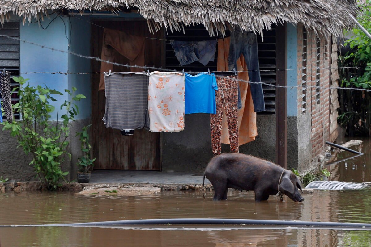 #TeExplicamosLaSemana | Domingo 2 de noviembre