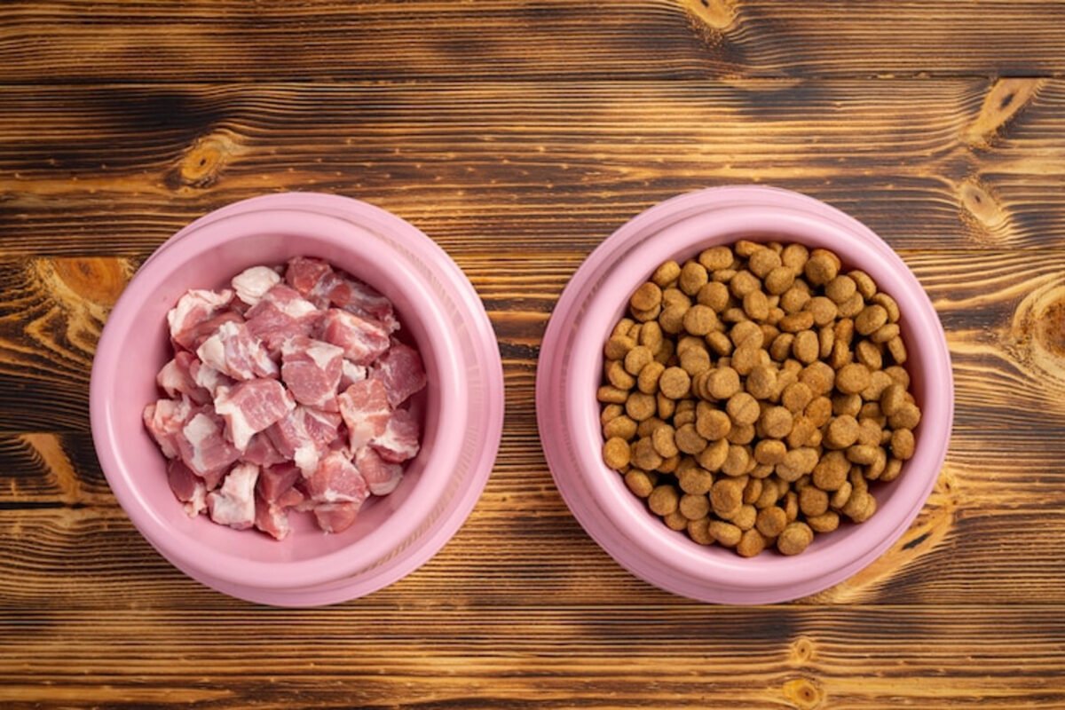 Dieta BARF para mascotas: qué es y cómo ayuda a la salud de perros y gatos