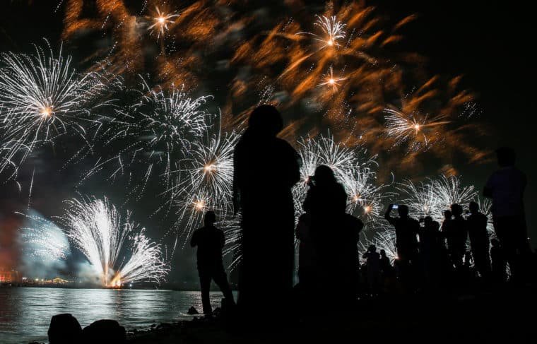 ¿Por qué los científicos de República Checa piden la prohibición de la pirotecnia?